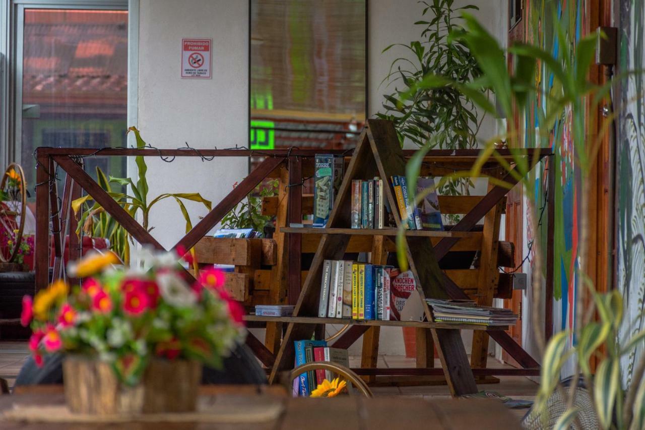 Arenal Container Hostel La Fortuna Eksteriør bilde